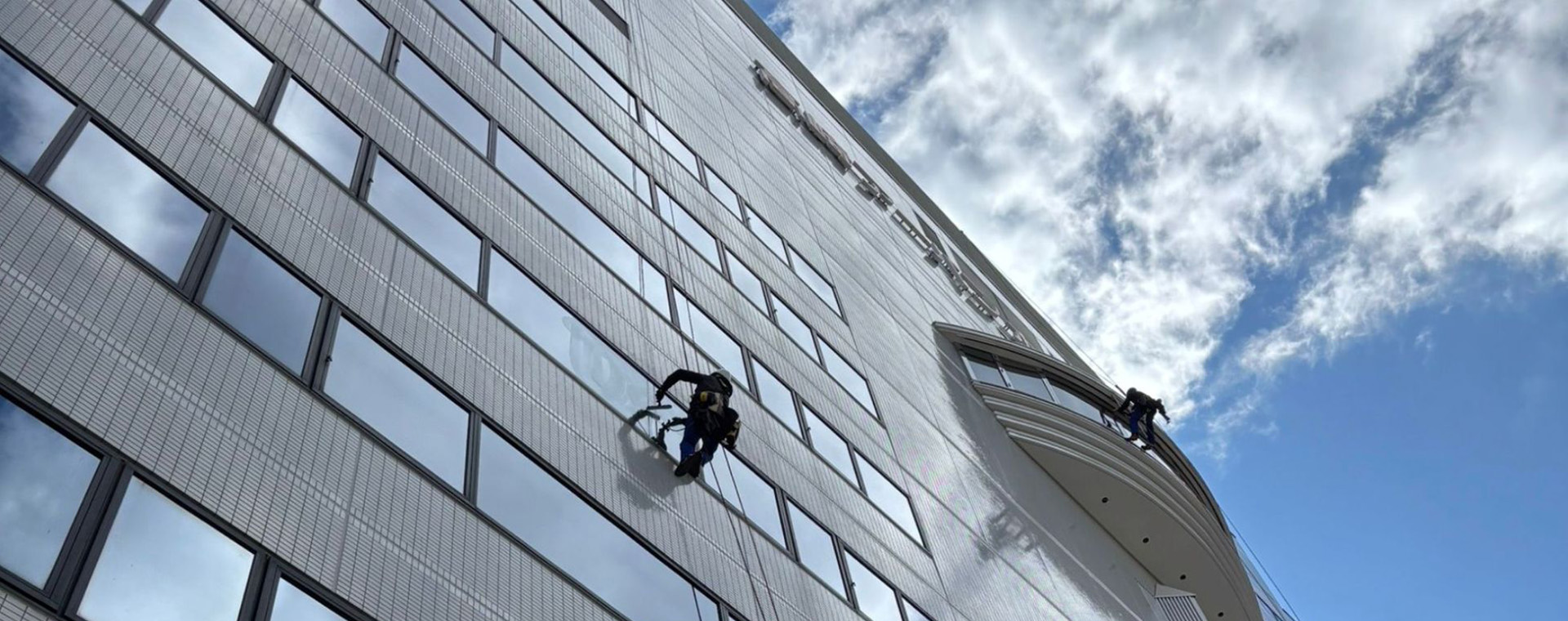 有限会社ライフクルー