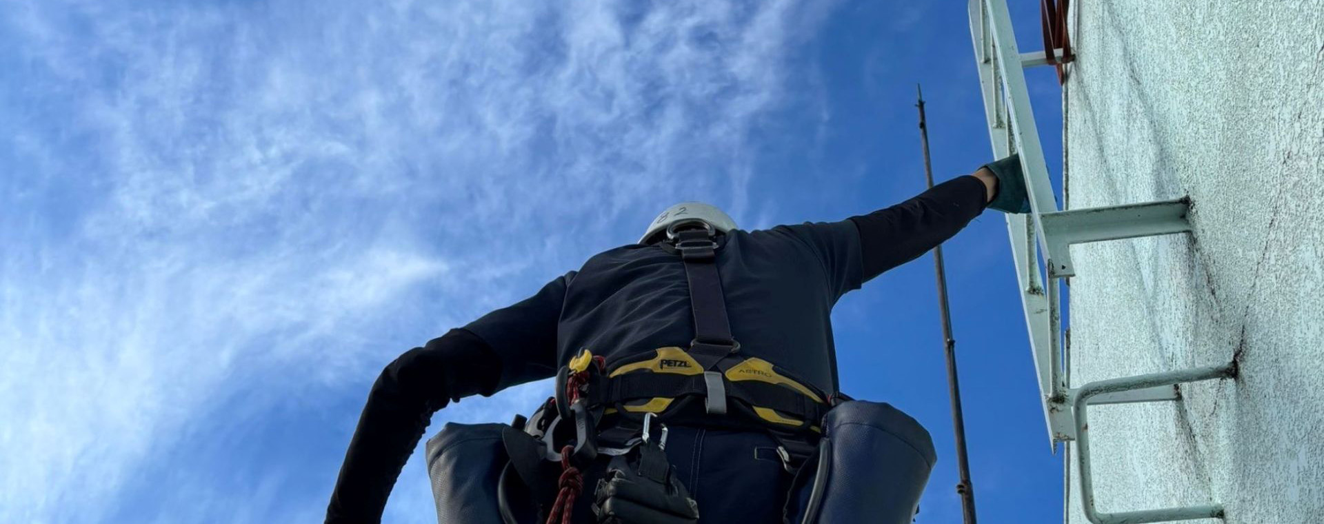 有限会社ライフクルー